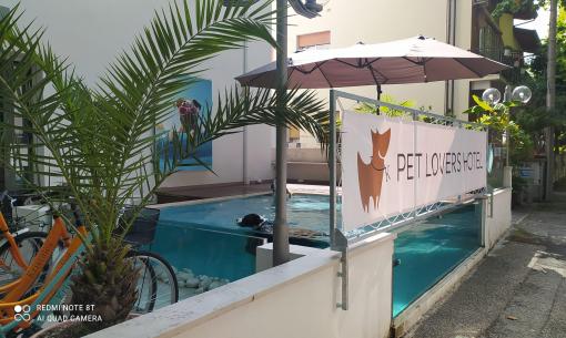 hotelkristalex fr special-juin-a-la-mer-dans-un-hotel-pet-friendly-a-cesenatico 020