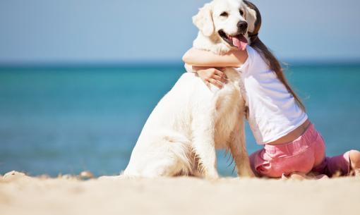 hotelkristalex it notte-rosa-in-hotel-pet-friendly-a-cesenatico 017