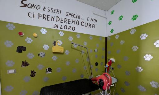 Sala toelettatura allegra con pareti verdi, impronte e foto di cani.